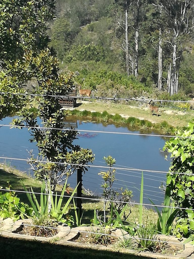 Portion 167 of the farm Kraaibosch 195 - Victoria Heights