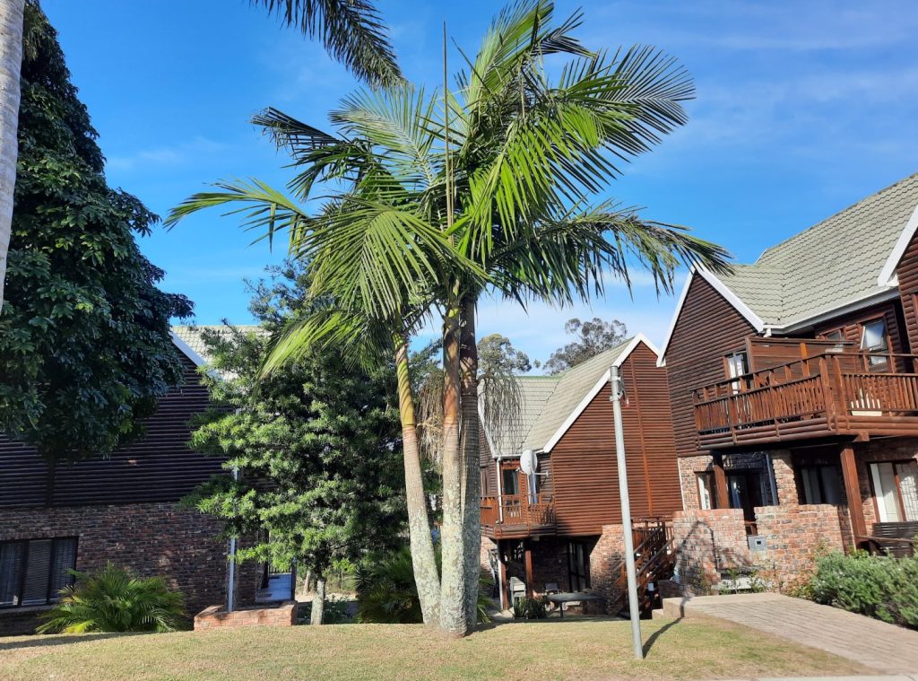 Tranquil Semi-Brick & Wood Apartment with Breathtaking Mountain Views – For Sale
