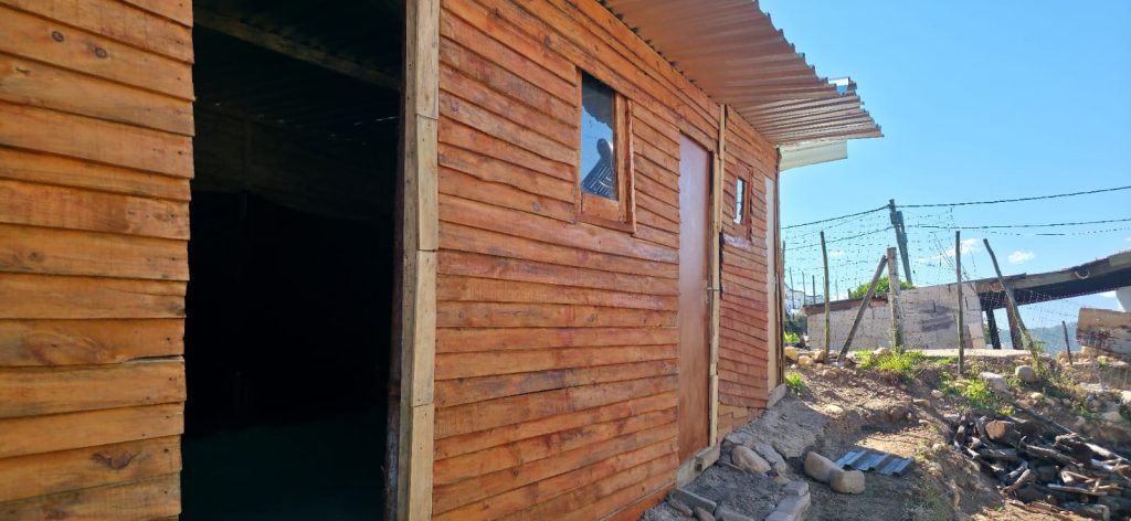 WhatsApp Image 2026-03-13 at 8.52.18 AM