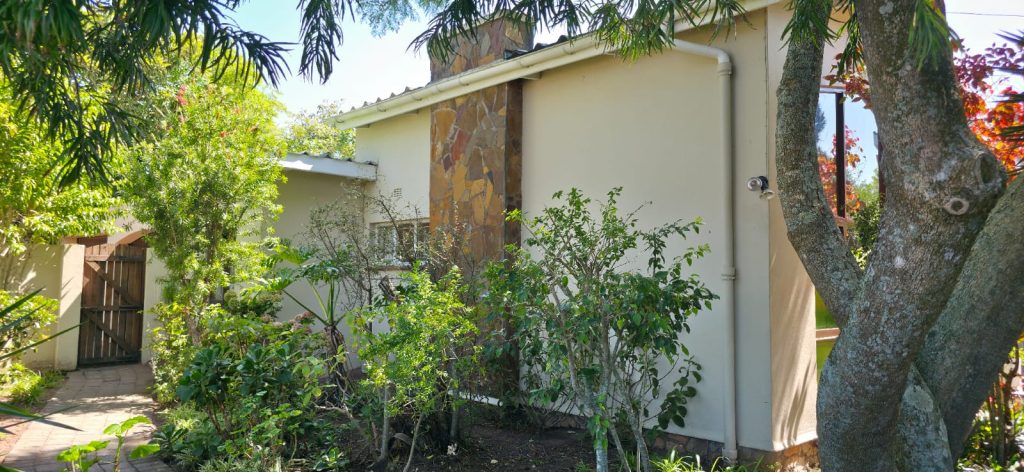 WhatsApp Image 2026-03-19 at 10.31.16 AM