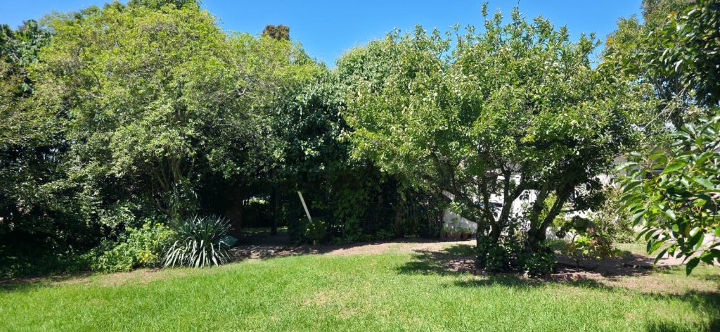 WhatsApp Image 2026-03-19 at 10.32.38 AM (1)