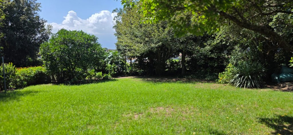 WhatsApp Image 2026-03-19 at 10.32.39 AM (1)