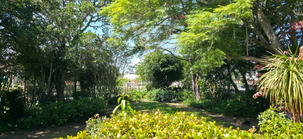 WhatsApp Image 2026-03-19 at 10.32.41 AM