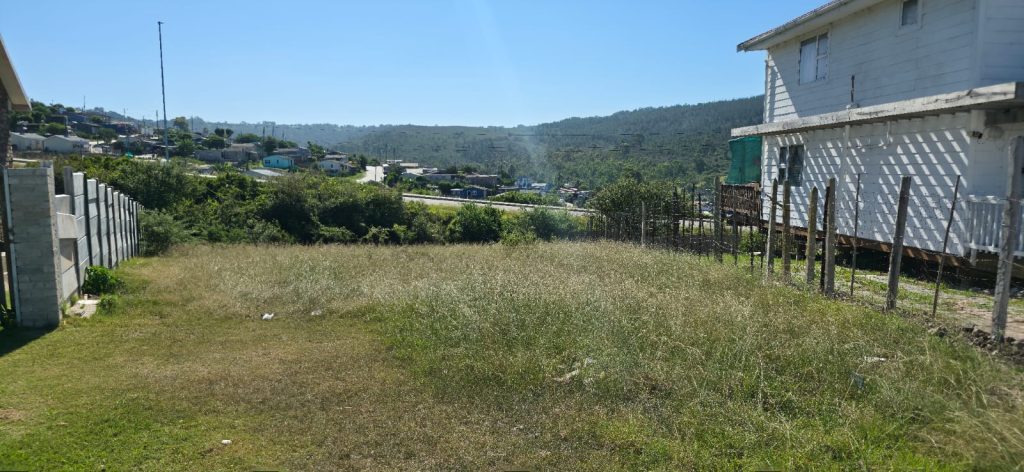 WhatsApp Image 2026-04-16 at 15.57.44 (2)